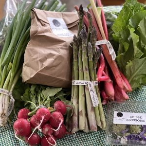 CSA 2023 week 3