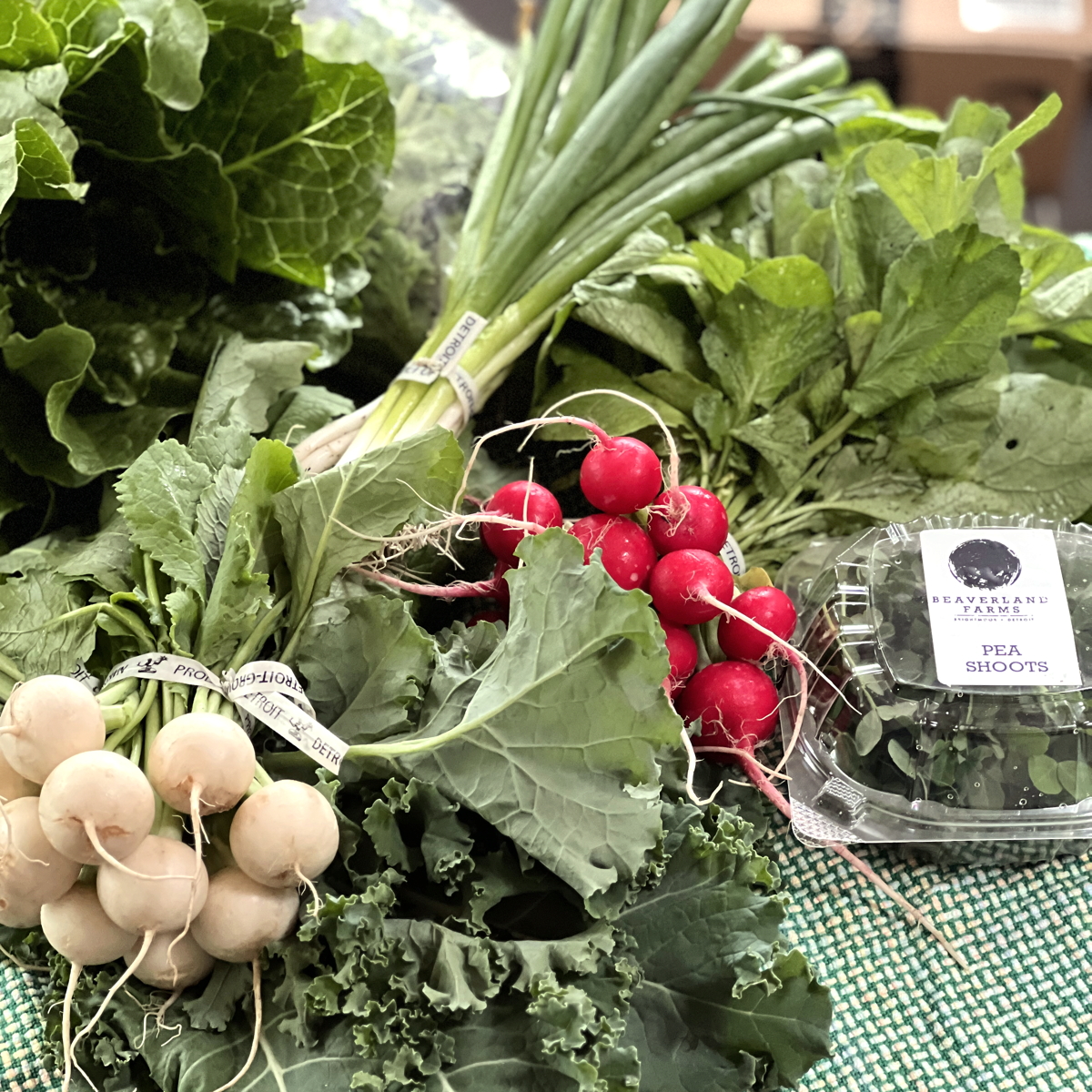 CSA 2023 week 4