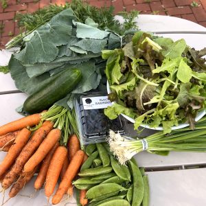 CSA 2023 week 11