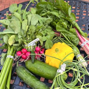 CSA 2023 week 12